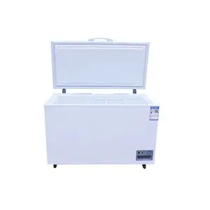 Best-selling High Quality Large Space High Quality Frozen Food Simple Door Storage Freezer