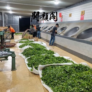 Kaiyange 100% ชาขาวธรรมชาติ Bai Mu Dan หนึ่งตาสำหรับฤดูใบไม้ผลิออร์แกนิก - Product Image 5
