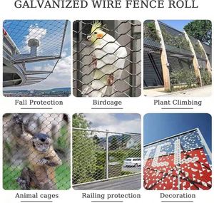 Hete Verkoop Hoge Kwaliteit Vogelkooi Papegaai Roestvrij Staal Draad Gaas Net Volière Gaas Roestvrij Staal Draad Gaas Net Volière - Product Image 6