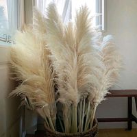 Bunga rumput Pampas krem besar produk baru untuk Dekor pernikahan untuk Natal dan Hari Valentine