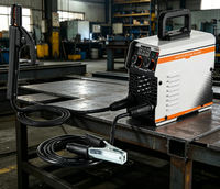 Machine à souder portable TIG/Stick 165A 110V/220V pour l'acier inoxydable et la fonte, utilisation automobile/de construction RXC
