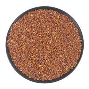 Bán Trực Tiếp Từ Nhà Máy Hạt Củ Cải/Hạt Củ Cải/Thực Phẩm Hữu Cơ Nguyên Chất Lượng Cao - Product Image 1