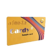 Carte NFC programmable en PVC mini format avec puce NTAG215 13,56 MHz, étanche, pour contrôle d'accès et paiement en hôtels (vente en gros)