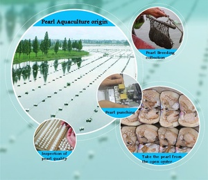 Bán Buôn Bán Lẻ 3A Cấp Nước Ngọt Tự Nhiên Ngọc Trai Nửa Khoan Không Lỗ Nút Ngọc Trai Loose Ngọc Trai Cho Vòng Đeo Tay 10-15MM - Product Image 5