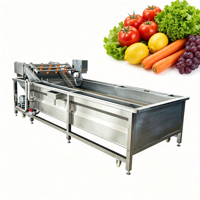 Volledig automatische wasmachine voor bladgroenten en fruit met luchtbel-sproeisysteem, geschikt voor sojabonen & tarweverwerking, SUS304 materiaal