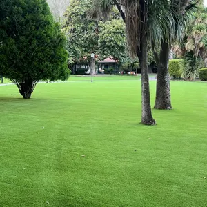 Tinggi tumpukan rumput buatan lansekap untuk Kolam renang