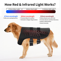 Nuevo Uionen - Envoltura de Terapia de Luz Infrarroja Roja Recargable y Reutilizable para Perros Grandes, Alivio del Dolor, Recuperación Muscular, Chaleco para Exteriores
