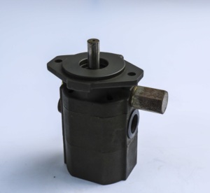 Hydraulische Hoge Lage Dubbele Druk Gear Pomp Heftruck Onderdelen Hydraulische Tandwielpomp Gebruikt In Log Splitter - Product Image 3