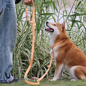 Accesorios y Suministros para Mascotas Correa de Perro Impermeable de PVC de Doble Punta para Paseo al Aire Libre y Tracción Personalizada - Product Image 6