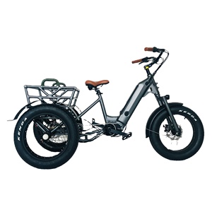 Tricycle électrique de 48V 500W pour le vélo adulte de cargaison <span class=keywords><strong>3</strong></span> roues avec le moteur d'entraînement moyen - Product Image 1