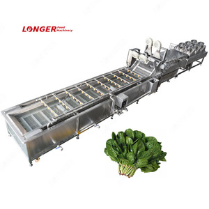 GG Supplier Small Multifunctional Ozone Spinach Cleaning Fruit and Vegetable Wash Machine Before Drying