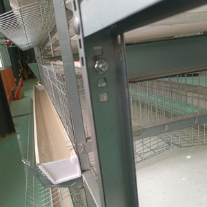 Jaula de alimentación de diseño de granja avícola tipo H, jaula de limpieza de estiércol con manivela manual para granja avícola de puesta de <span class=keywords><strong>huevos</strong></span> en <span class=keywords><strong>Guinea</strong></span> - Product Image 4