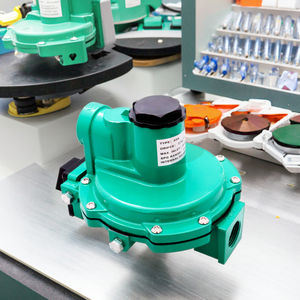 Regulador de <span class=keywords><strong>gas</strong></span> industrial NG LP de segunda etapa - Product Image 4