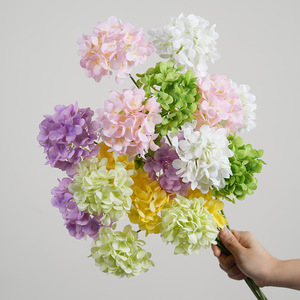ดอกไฮเดรนเยียฝรั่งเศสแบบ 3 หัว สีขาว ชมพู เหลือง เขียวอ่อน ม่วงอ่อน เขียวเข้ม สำหรับตกแต่ง - Product Image 1