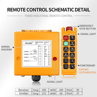ML-P10 + 10 canaux 24V télécommande industrielle 868MHz équipement de levage domotique moteurs ACs grues camions choc