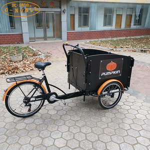 <span class=keywords><strong>Tricycle</strong></span> électrique à 3 roues, style néerlandais, chargement avant, pour usage familial - Product Image 3