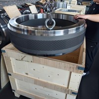 Machine à granulés de bois Salmatec Maxima 700-100 Matrix Salmatec 700.100 en acier inoxydable pour biomasse