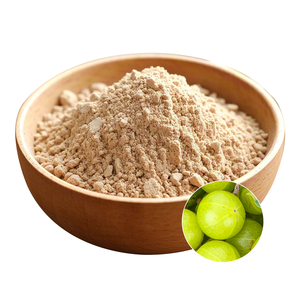 Reishi nấm Matcha bột với đông trùng hạ thảo hữu cơ màu xanh lá cây trà pha trộn dinh dưỡng tự nhiên công thức nấm Matcha - Product Image 3