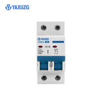 Interruptores de Circuito en Miniatura de Alto Voltaje de Impulso (4000 V) Más Vendidos, Material de Cobre, Duraderos, MCB