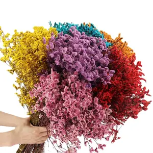 तने के साथ संरक्षित फूल थोक सूखे फूल शाश्वत क्रिस्टल घास लिमोनियम सूखे फूल शादी के आयोजनों की सजावट के लिए