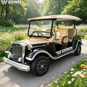 Voiture électrique rétro personnalisable, multi-places, véhicule de tourisme classique, écologique, faible bruit, pour parcs d'attractions et zones résidentielles - Product Image 1