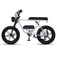 Dynavolt Chine Vélo Électrique Vintage Économique avec Moteur, VTT à Pneus Larges