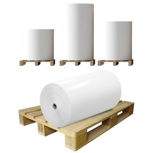 Etiqueta Autoadhesiva de BOPP PET Sintético, Blanca, con Brillo Térmico/Transparente/Plateada, Rollo Jumbo de PP - Product Image 6