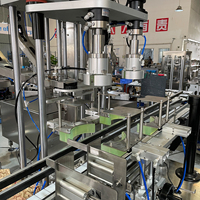 Machine de capsulage pneumatique à double tête pour fûts en plastique de grande taille pour bière artisanale, haute efficacité
