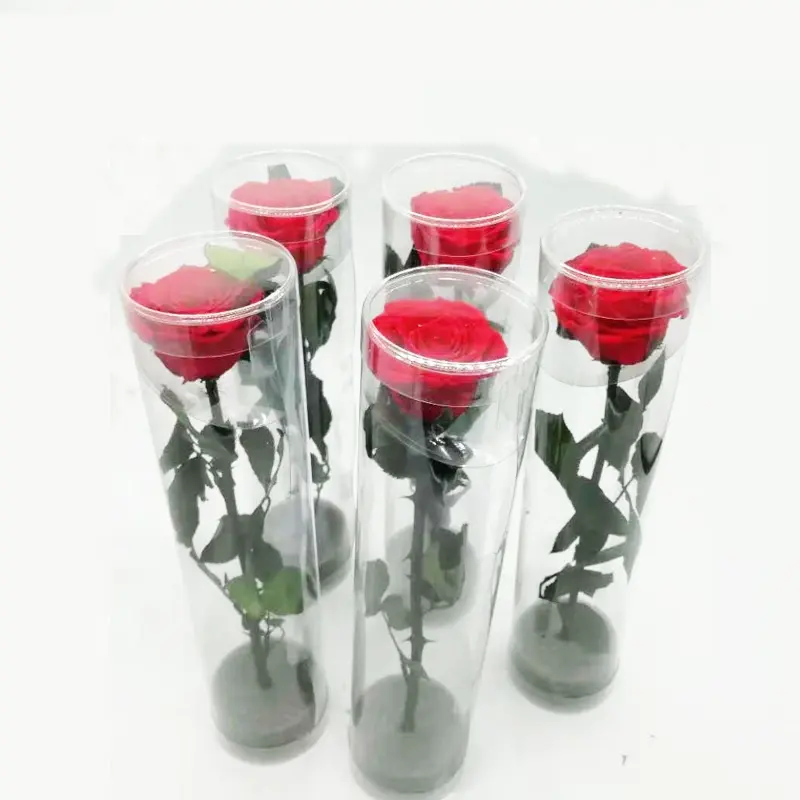 YAYUN A-1120 Gros Équateur Préservé Roses à Longue Tige Fleurs Pour Cadeau