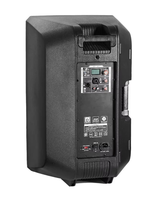 Haut-parleur portable 15 pouces à succès, système audio DJ karaoké 2 voies pleine gamme avec boîtier en plastique