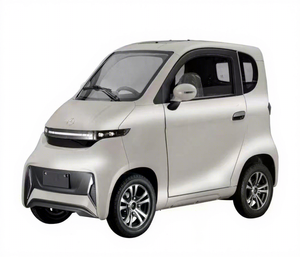 Auto Sedán Mini EEC L6e de Dos Plazas con Tracción Trasera, Asientos de Cuero, Cámara y Motor de 1000W - Product Image 1