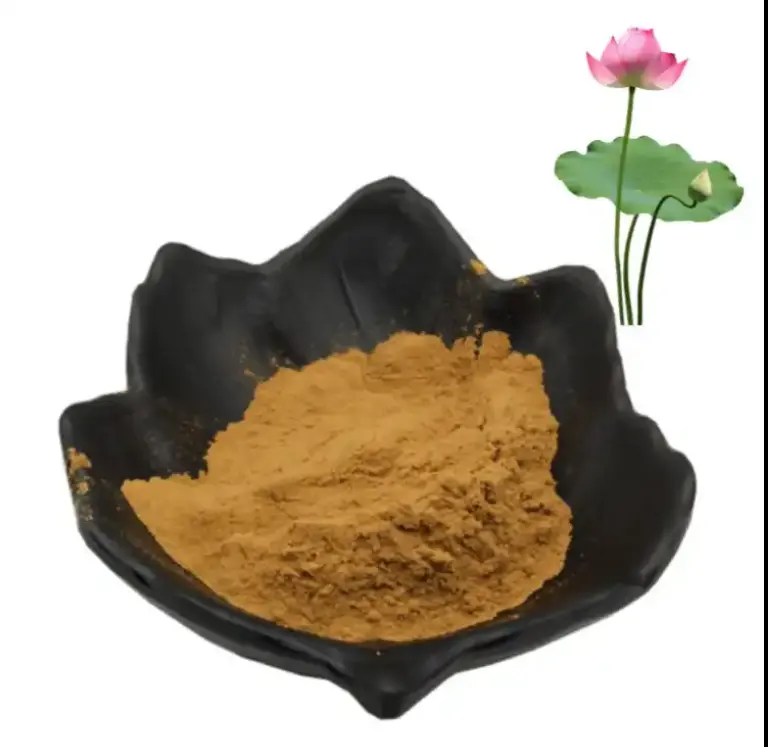 High Quality Lotus Leaf Extract Powder 5% Nuciferin Wholesale Organic Lotus Flower Powder