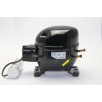 Compresseur de réfrigération DC 12v 24v 134a 600a zel 1/4 1/6 1/5 compresseur de réfrigération hp