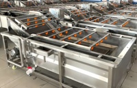 Fabrieksprijs Commerciële Automatische Bubbelreinigingsmachine/Fruit-En Groentewasmachine