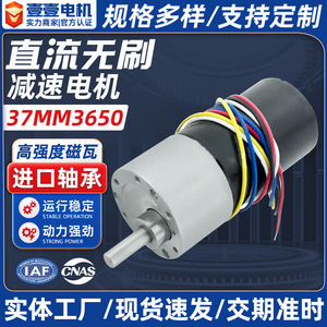 Motor sin Escobillas de 42 mm, 1500 rpm, 36 V, Montaje con Brida, Imán Permanente, Motor de CC Totalmente Cerrado - Product Image 2