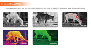 2025 हैंडहेल्ड थर्मल इन्फ्रारेड इमेजिंग मोनोऑक्यूलर 8x मैग्निफिकेशन 384x288 डिजिटल ज़ूम 1.0x 2.0x 4.0x रात दृष्टि स्कोप वाइफी - Product Image 6