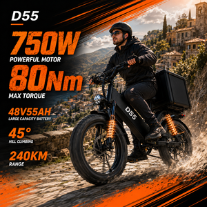Bicicleta Eléctrica de Carga D55, 750W, 48V, 55Ah, Llanta Gruesa de 20 Pulgadas, Doble Suspensión, Frenos de Disco, Bicicleta Eléctrica para Subir Colinas - Product Image 1