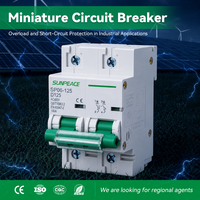 Dz47 125A Ac Dc Mcb minyatür devre kesici 80 Amp 100 Amp 125 Amp 6KA 10KA 240V 415V 1 2 3 4 kutup güneş Pv sistemi için