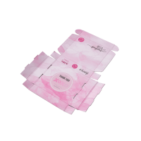 Boîte d'avion en papier ondulé personnalisable-Impression de la doublure intérieure, couleur/taille/impression/dimension personnalisées pour l'emballage