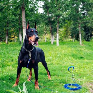 Recién llegados, Estaca de tierra para perros, correa de alambre de acero para mascotas, Correa larga para perros de 30 pies con estaca para patio de perros - Product Image 2