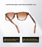 Gafas Inteligentes con IA, Resistentes al Agua IP67, Asistente de Voz, Traducción en Tiempo Real, Llamadas Telefónicas, Reproductor de Música, Control por Gestos