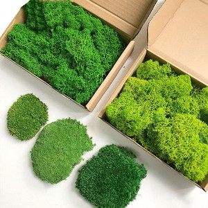 Plantes vertes artificielles de haute qualité pour décoration murale et aménagement paysager en arrière-plan - Product Image 5