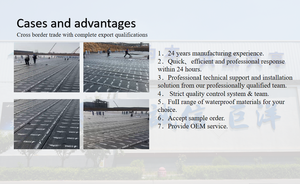 Material Waterproof Non Cured Rubber Coating Roof Waterproof - Product Image 6