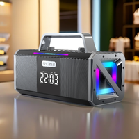 Haut-parleur Karaoké Portable Extérieur Sans Fil 200W à Basses Puissantes de Haute Qualité avec Entrée USB/AUX et Micro Intégré, RGB 5.3, Fabrication OEM