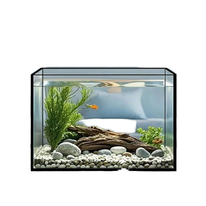 Ultra helder groot rechthoekig glazen zoutwateraquarium op maat gemaakt volume elektrisch 220V modieus binnen schildpad- en viskwekerij - Product Image 1