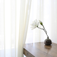 Rideau de porte d'intérieur en Tulle blanc, panneau solide, pour salon, Style européen et américain