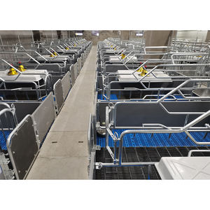 Jaulas de Parto para Cerdos de Alta Calidad, Nuevas, Galvanizadas en Caliente, con Certificación CE, Diseño Antipresión, Larga Vida Útil, para Uso en Granjas Porcinas - Product Image 2