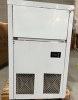Machine de fabrication de glace en forme granulaire, 300 kg par jour, prix d'usine de Guangzhou