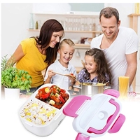 Boîte à lunch chauffante électrique portable à 2 compartiments, 1,05 L, 12 V/110 V, 40 W, avec cuillère, récipient en plastique écologique, pour le bureau
