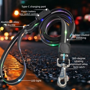 Correa Luminosa para Mascotas, Perros y Gatos, con Luz LED RGB, Recargable por USB, para Paseos Nocturnos - Product Image 6